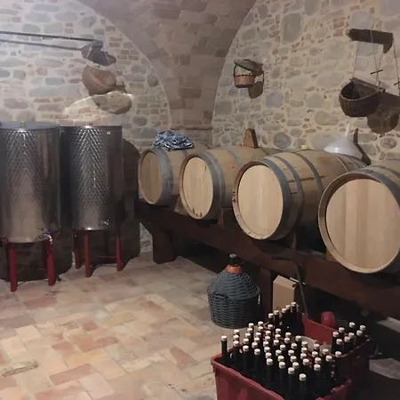 Azienda Agricola Perconti * Cellino Attanasio