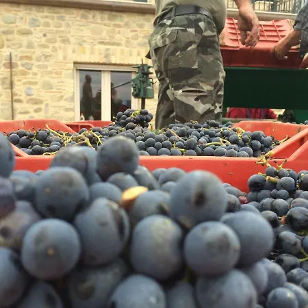 Alojamento de Turismo Rural Azienda Agricola Perconti