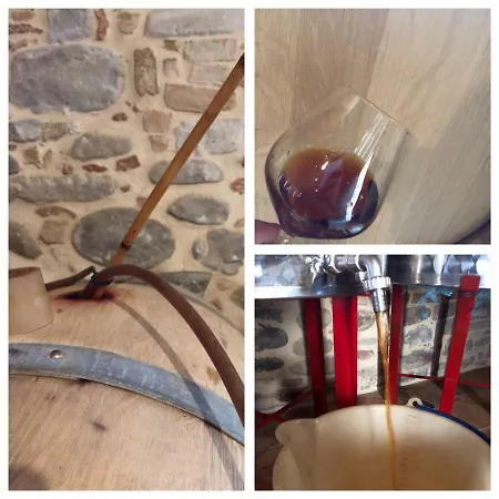 Azienda Agricola Perconti Alojamento de Turismo Rural *