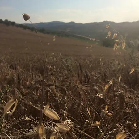 Azienda Agricola Perconti *