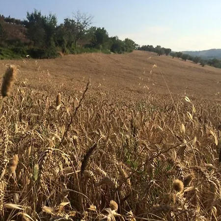 Azienda Agricola Perconti Vakantieboerderij Cellino Attanasio