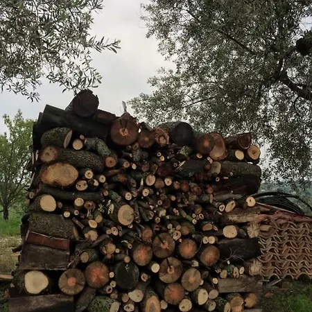 Azienda Agricola Perconti Vakantieboerderij Cellino Attanasio