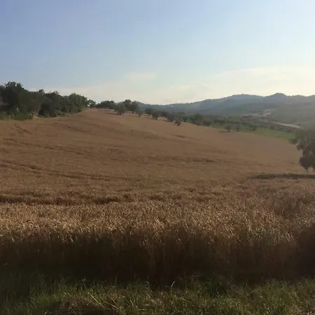 Azienda Agricola Perconti Vakantieboerderij Cellino Attanasio