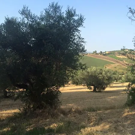 Azienda Agricola Perconti *