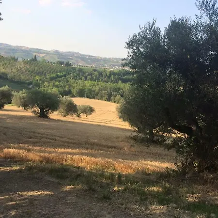 Azienda Agricola Perconti * Cellino Attanasio