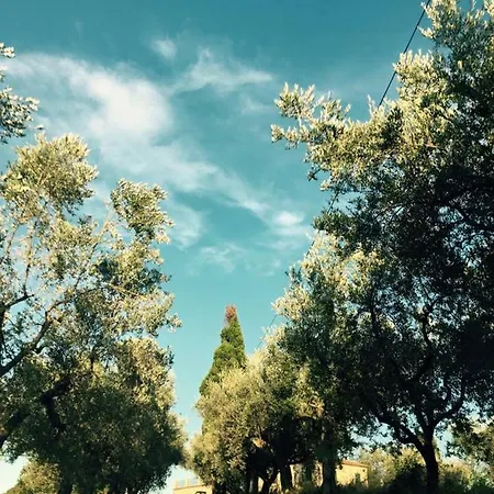 Vakantieboerderij Azienda Agricola Perconti *