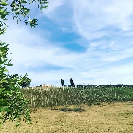 Azienda Agricola Perconti Farma Cellino Attanasio
