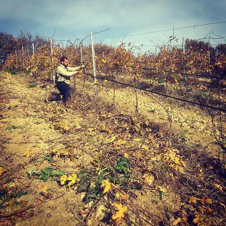 Azienda Agricola Perconti *