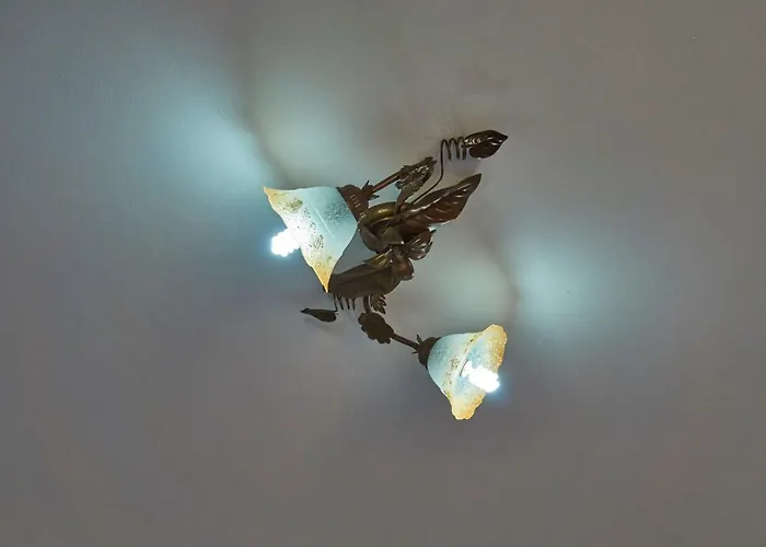 Azienda Agricola Perconti