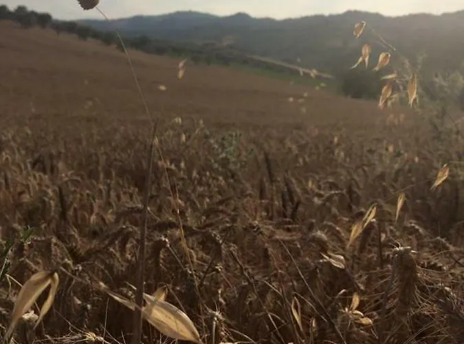 Azienda Agricola Perconti *