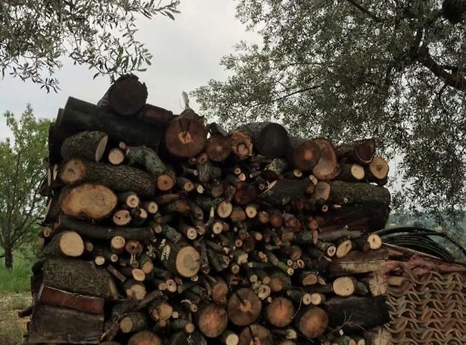 Azienda Agricola Perconti Feriegård Cellino Attanasio