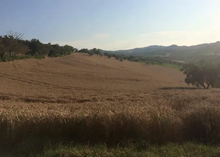 Azienda Agricola Perconti Feriegård Cellino Attanasio