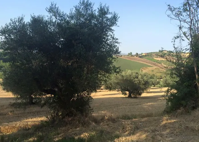 Azienda Agricola Perconti *