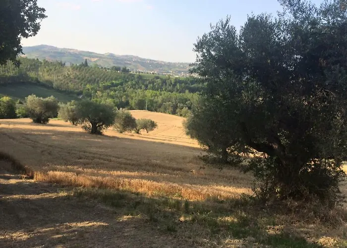 Azienda Agricola Perconti * Cellino Attanasio