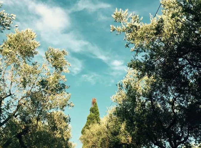 Feriegård Azienda Agricola Perconti *