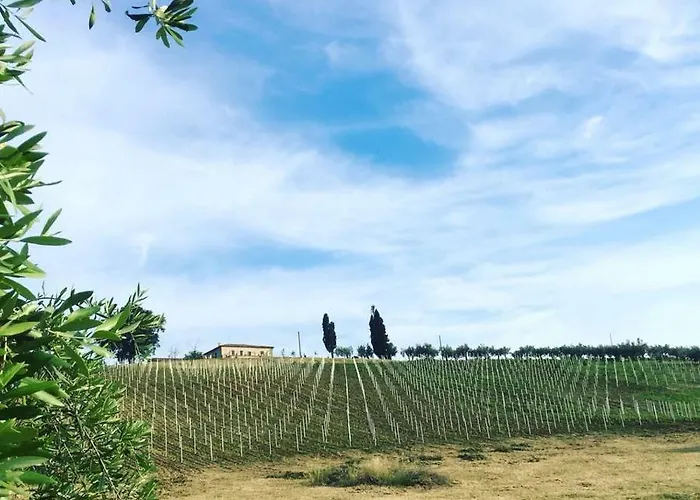 Azienda Agricola Perconti Фермерский дом Cellino Attanasio