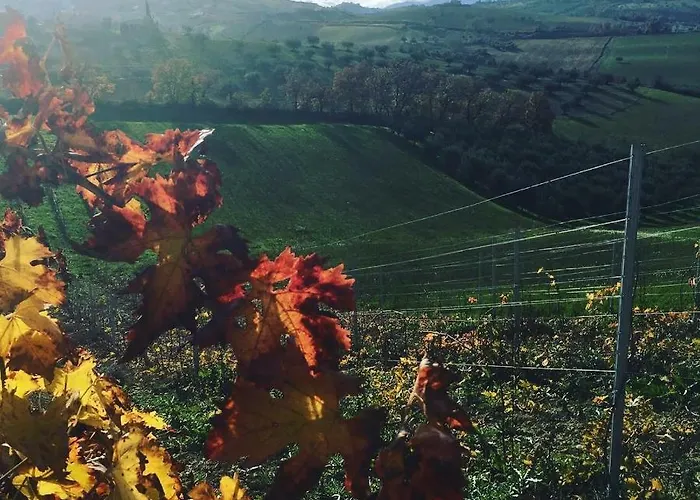 Фермерский дом Azienda Agricola Perconti Cellino Attanasio